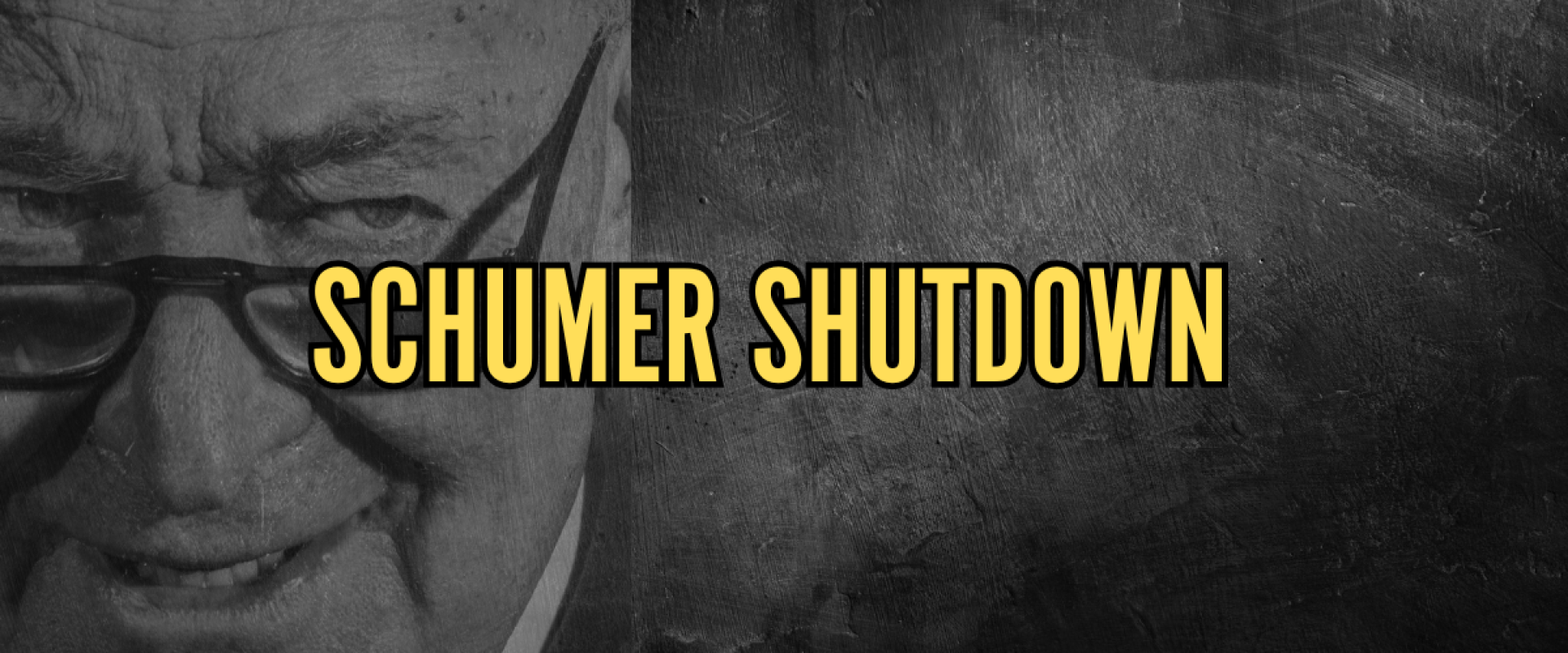 Schumer Shutdown 2