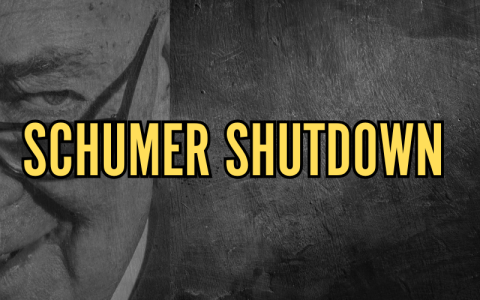 Schumer Shutdown 2